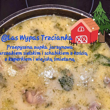 Noclegi "Las Wypas" Trzcianka Тшчанка Экстерьер фото